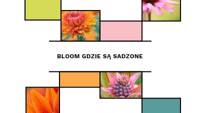 Bloom, gdzie jesteś posadzony white modern-geo-&-linear