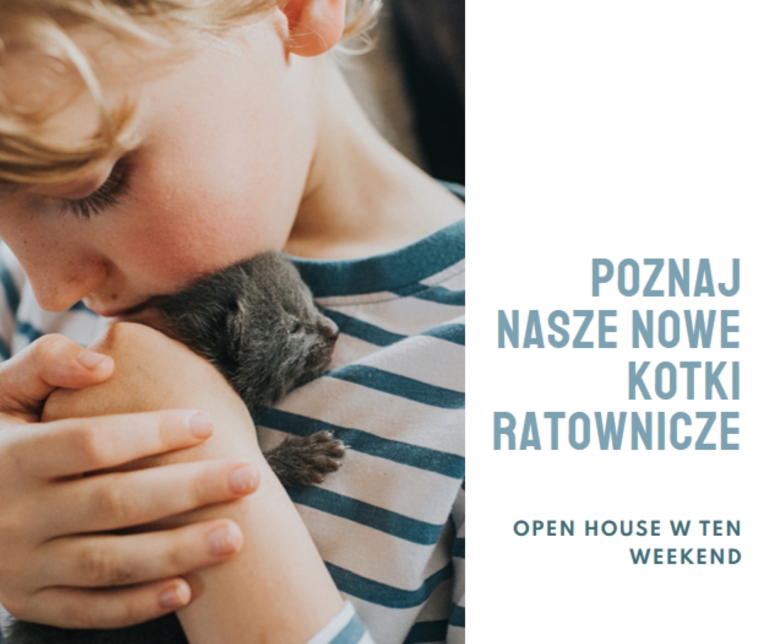 Poznaj nasze nowe ratunki pink modern-simple
