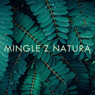 Mingle z naturą green modern-simple