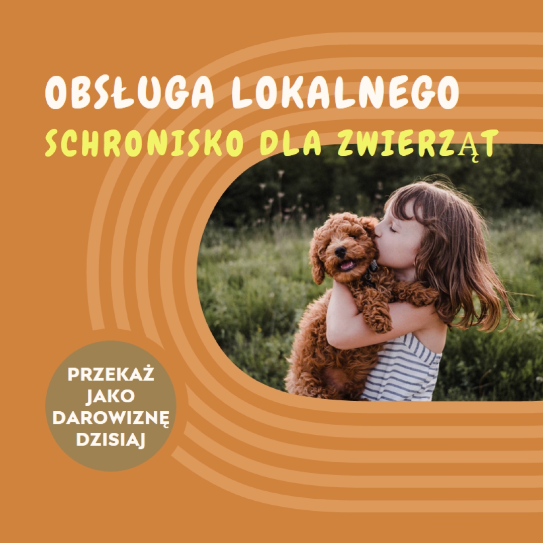 Pomocnik schroniska orange whimsical-color-block