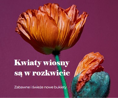 Świeże kwiaty purple modern-simple