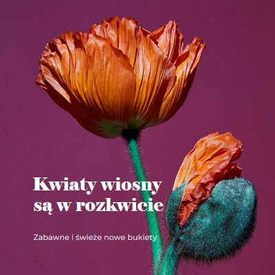 Świeże kwiaty purple modern-simple