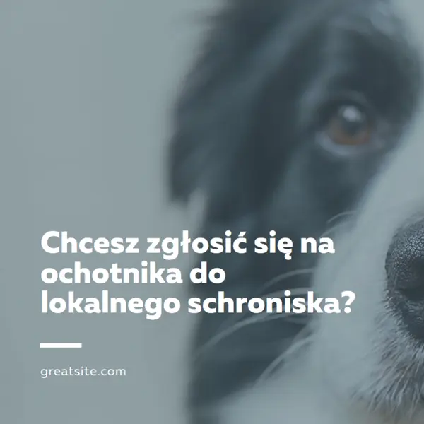 Wolontariusz i przynieś doping blue modern-simple
