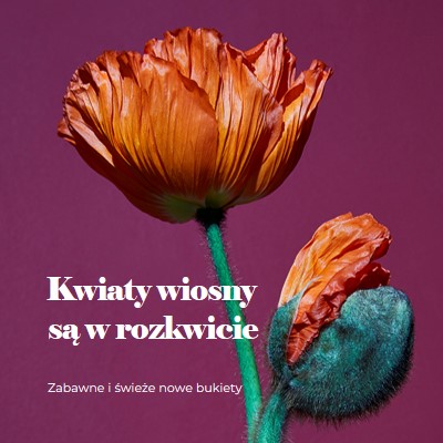 Świeże kwiaty purple modern-simple