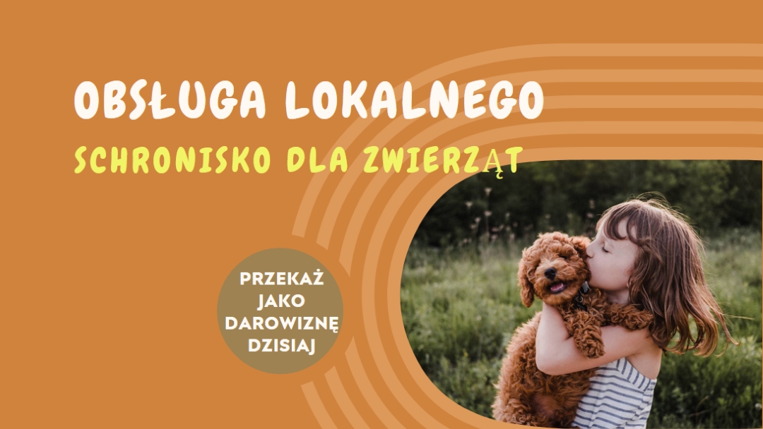 Pomocnik schroniska orange whimsical-color-block