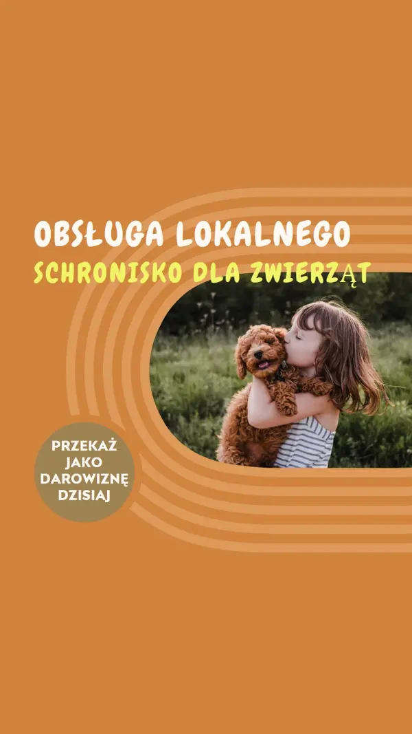 Pomocnik schroniska orange whimsical-color-block