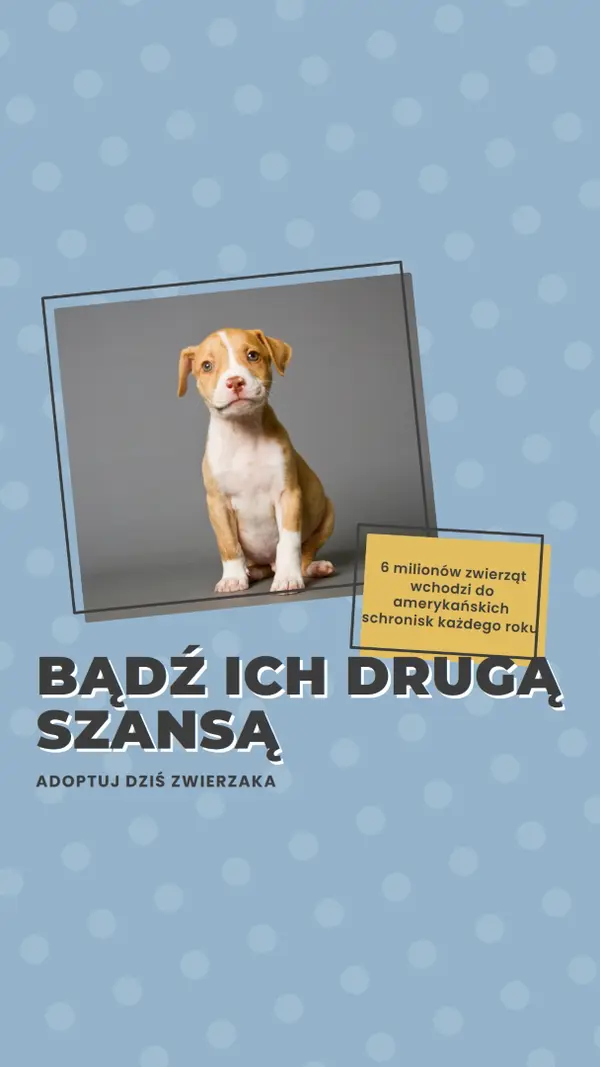 Szczeniak drugiej szansy blue modern-bold