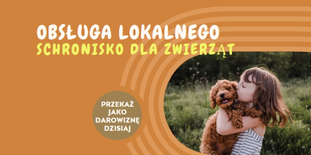 Pomocnik schroniska orange whimsical-color-block