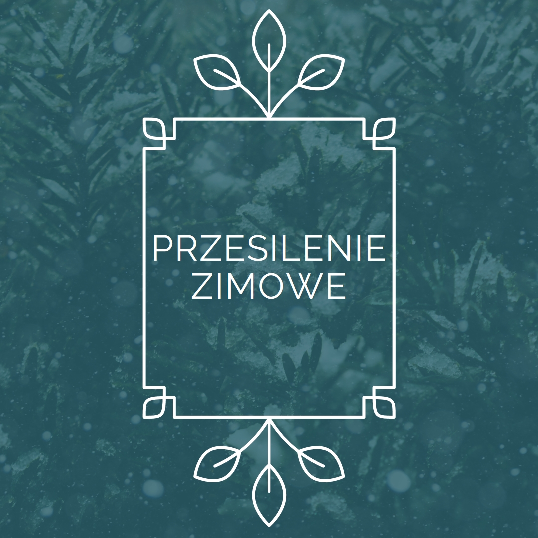 Przesilenie zimowe green modern-simple