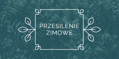 Przesilenie zimowe green modern-simple