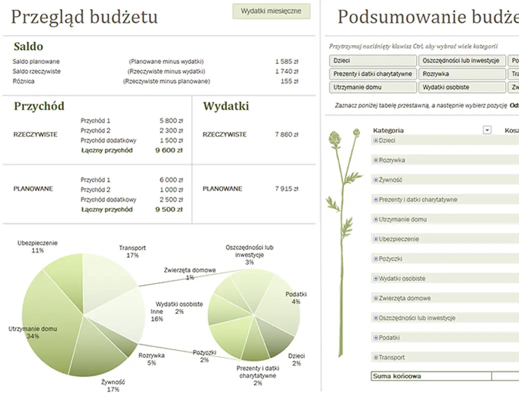 Budżet rodzinny (miesięczny) modern simple