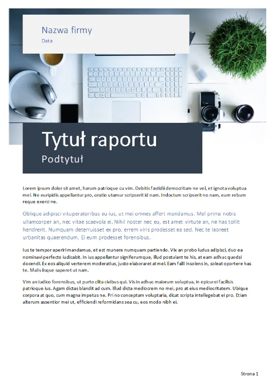 Raport (motyw Początek) gray modern simple