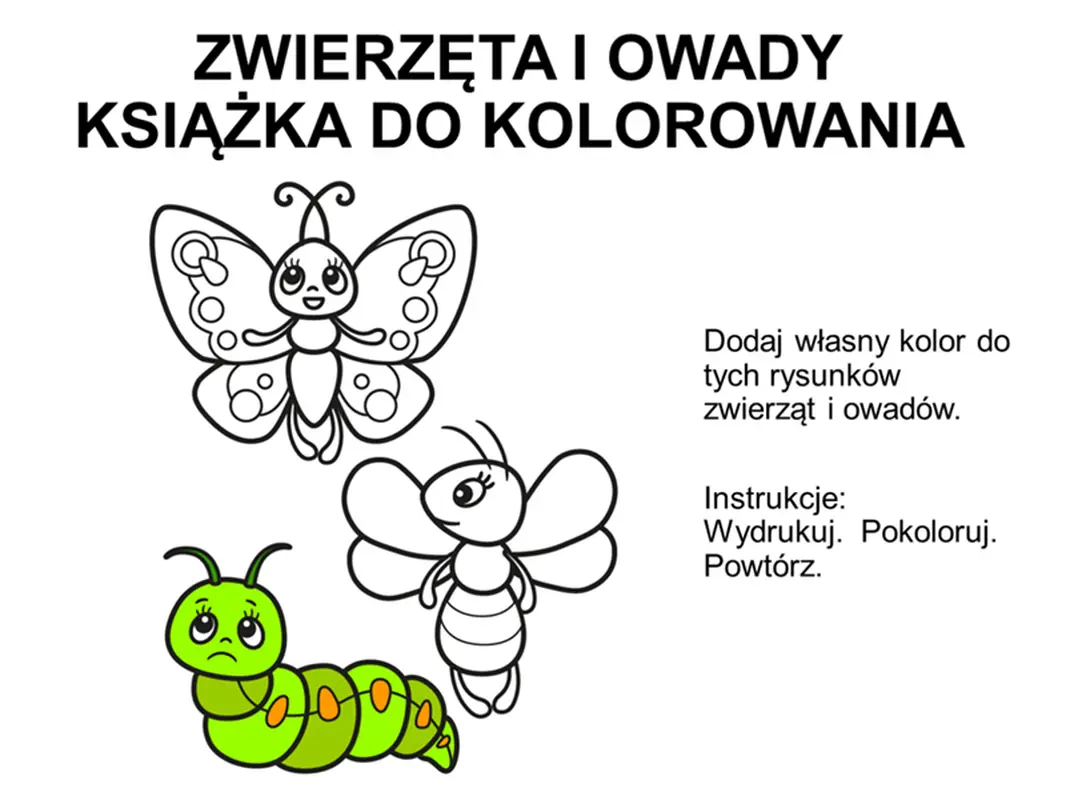 Książka do kolorowania zwierząt i owadów