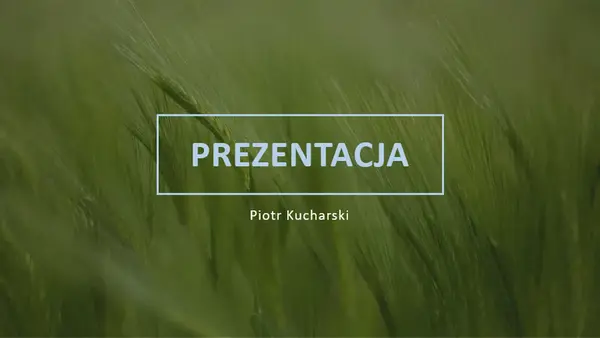Zielona prezentacja ofertowa modern-simple