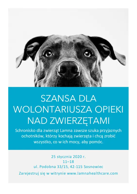 Ulotka szansy dla wolontariusza opieki nad zwierzętami modern-simple