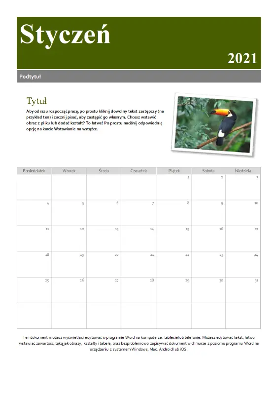 Kalendarz Migawka green modern-simple