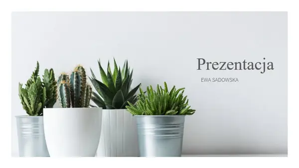Jasna prezentacja sprzedażowa modern-simple