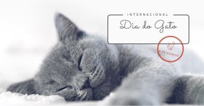 Soneca de gato gray modern-simple