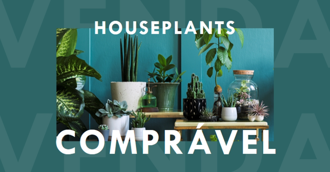 Energia da usina green modern-bold