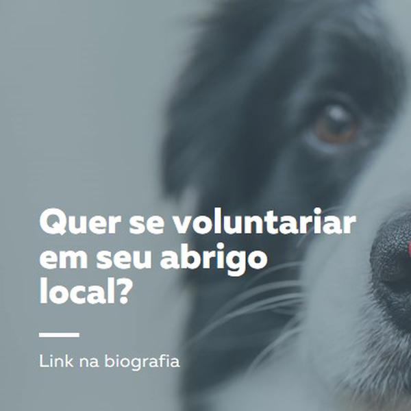 Voluntarie-se e traga alegria blue modern-simple