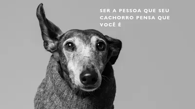 Amor de cachorrinho gray modern-simple