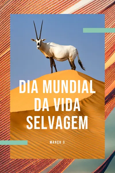 Celebrar a vida selvagem orange modern-bold
