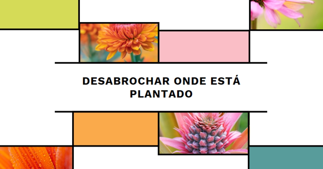 Floresça onde está plantado white modern-geo-&-linear