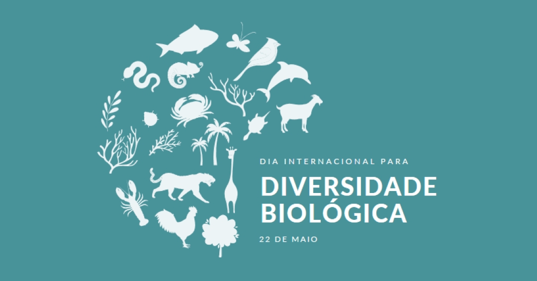 Celebrar o Dia Mundial da Biodiversidade blue modern-simple