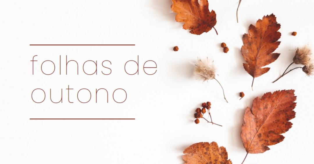 As folhas caíram white modern-simple