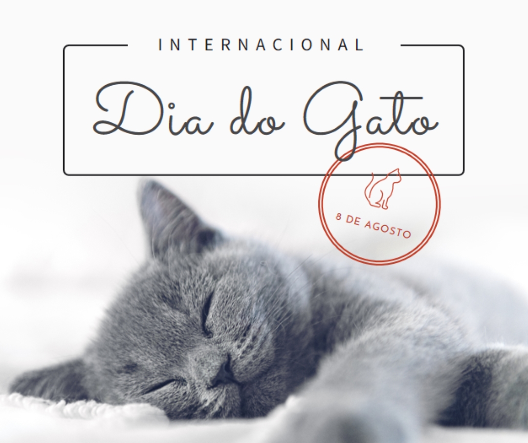 Soneca de gato gray modern-simple