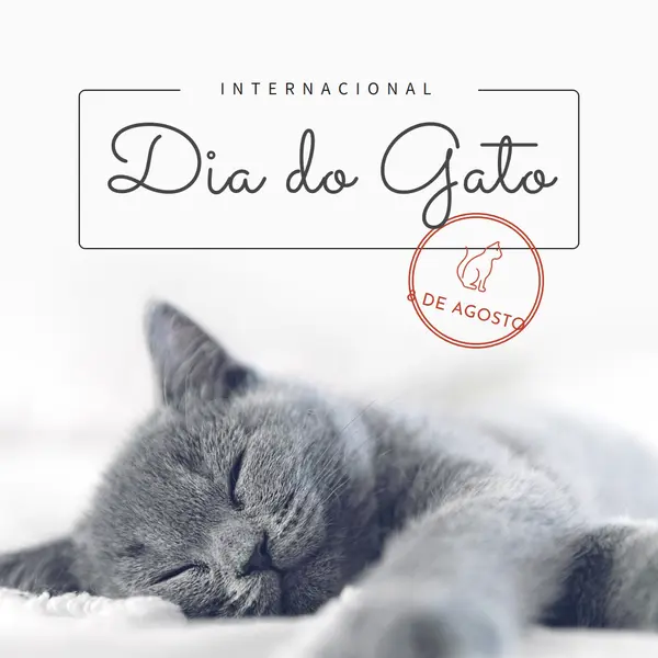 Soneca de gato gray modern-simple