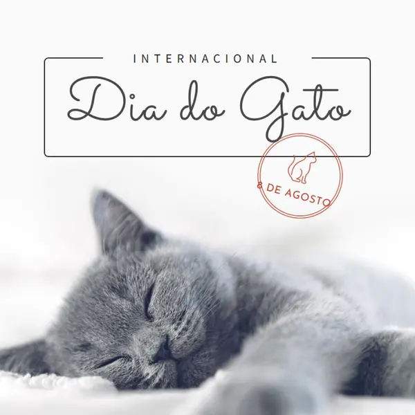 Soneca de gato gray modern-simple
