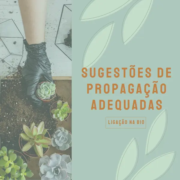 Simplesmente suculenta green organic-simple