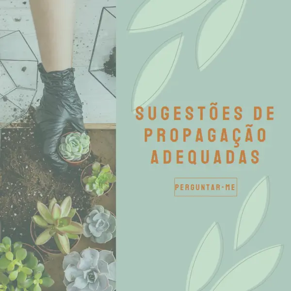 Simplesmente suculenta green organic-simple