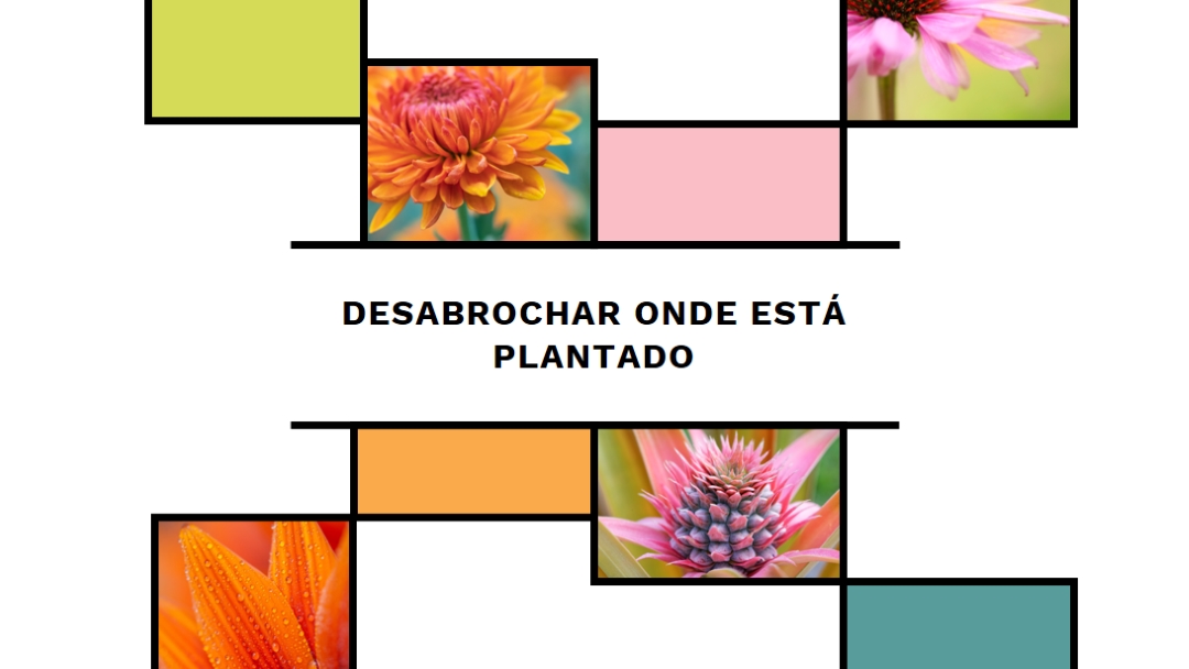 Floresça onde está plantado white modern-geo-&-linear