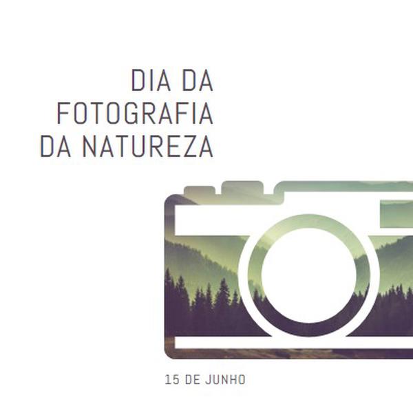 Dia da Fotografia da Natureza white modern-simple