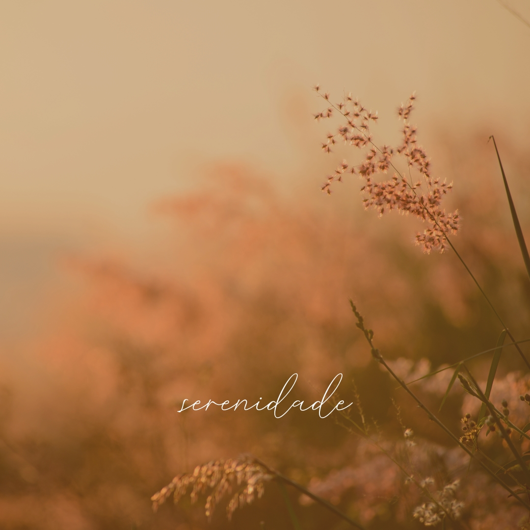 Campos de serenidade brown modern,minimal,nature,quiet,soft,plants