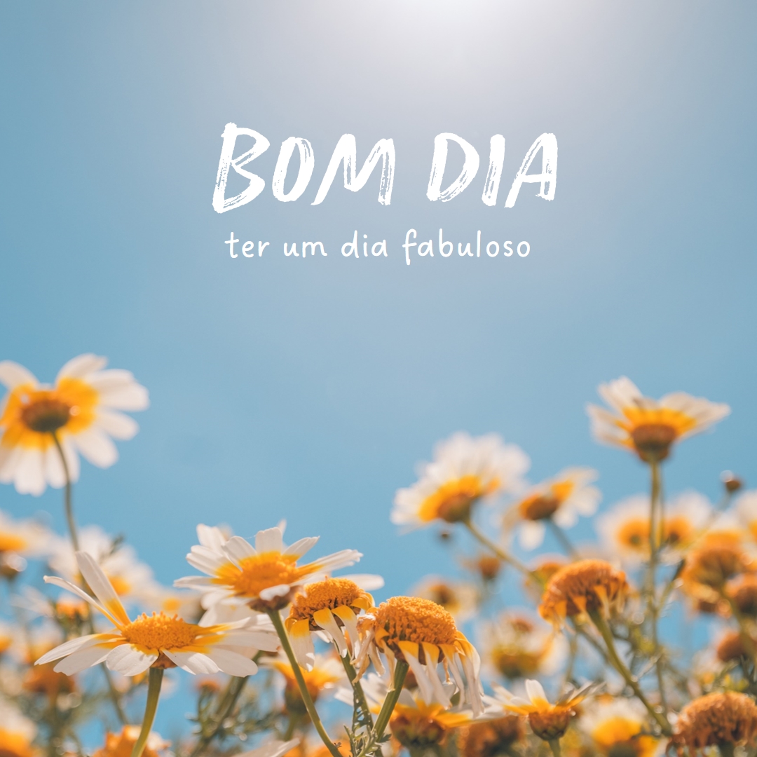 Tenha um dia fabuloso blue modern,simple,photography,flowers,birght,fresh