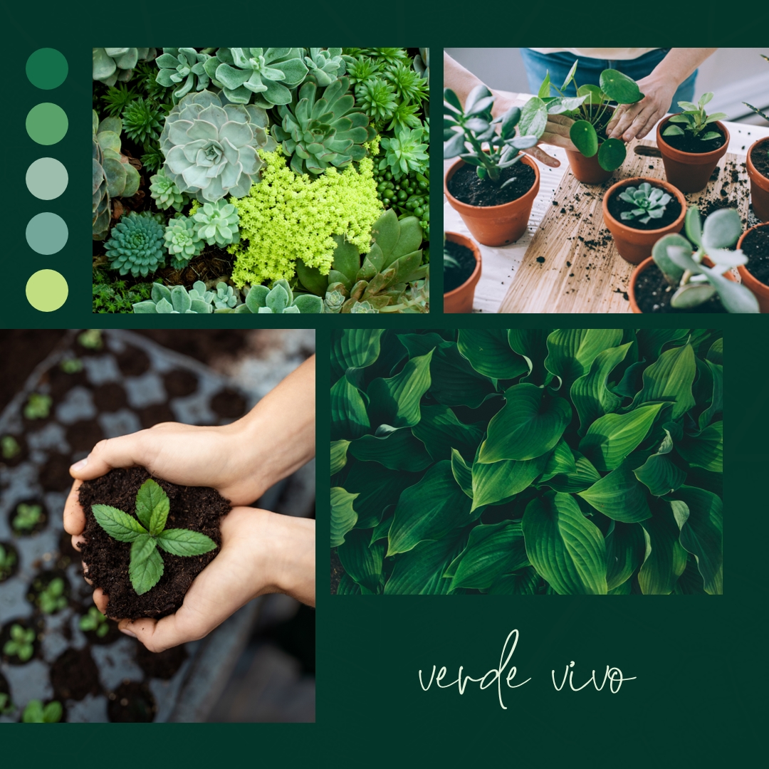 Vida com polegar verde green photographic,simple,collage,palette,handwriting,graphic