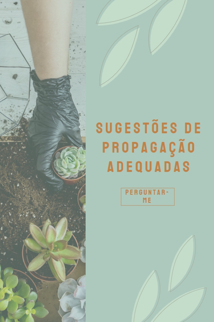 Simplesmente suculenta green organic-simple