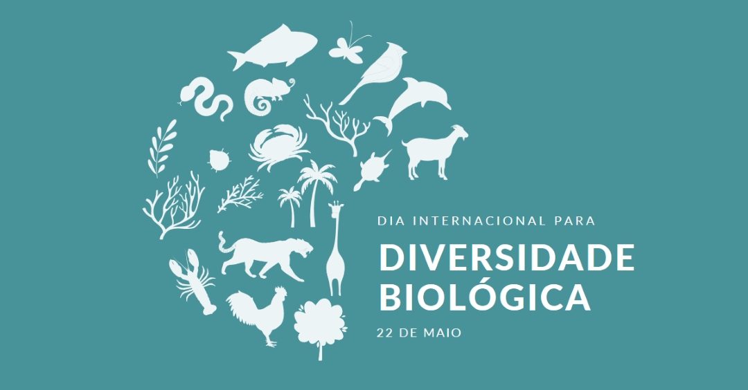 Celebrar o Dia Mundial da Biodiversidade blue modern-simple
