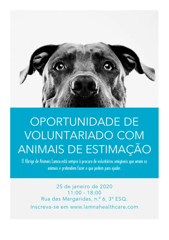 Panfleto para oportunidades de voluntariado com animais de estimação modern-simple