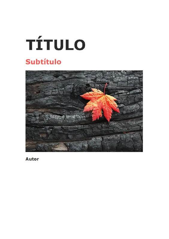 Documento com capa e Índice modern simple