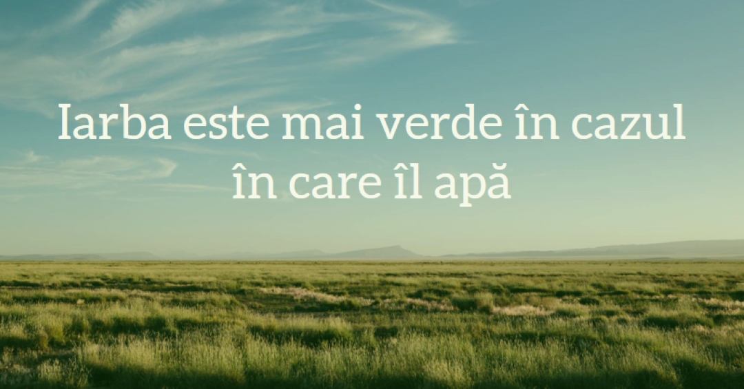 Natură mai bună blue modern-simple