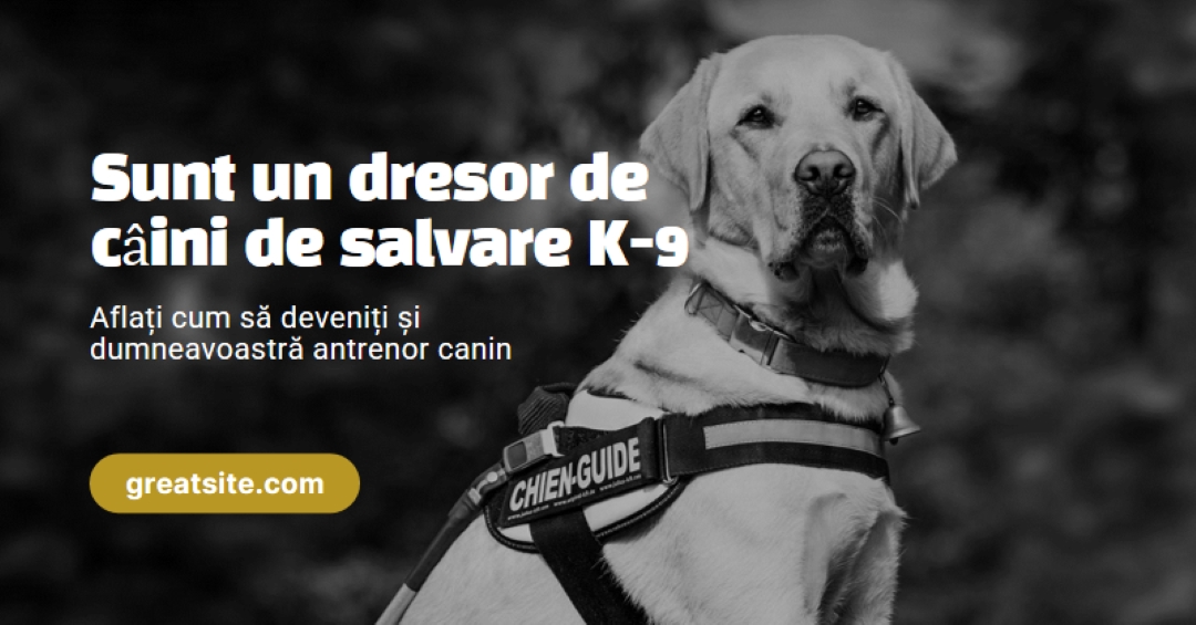 Sunt un dresor de câini de salvare black modern-simple