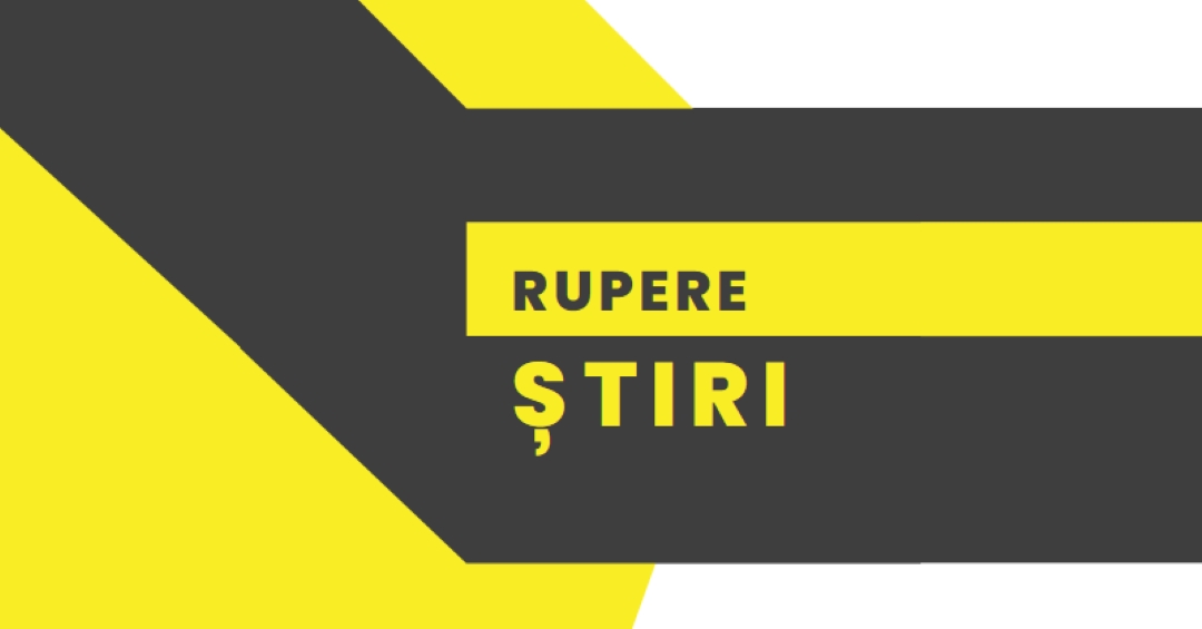 Noutăți yellow modern-bold