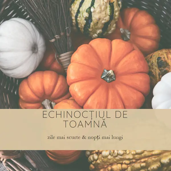 Sărbătorirea echinocțiului de toamnă orange modern-simple