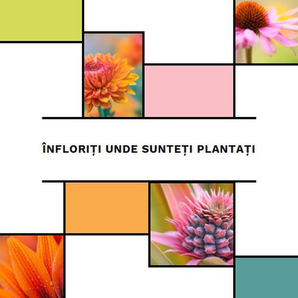 Infloreste unde esti plantat white modern-geo-&-linear