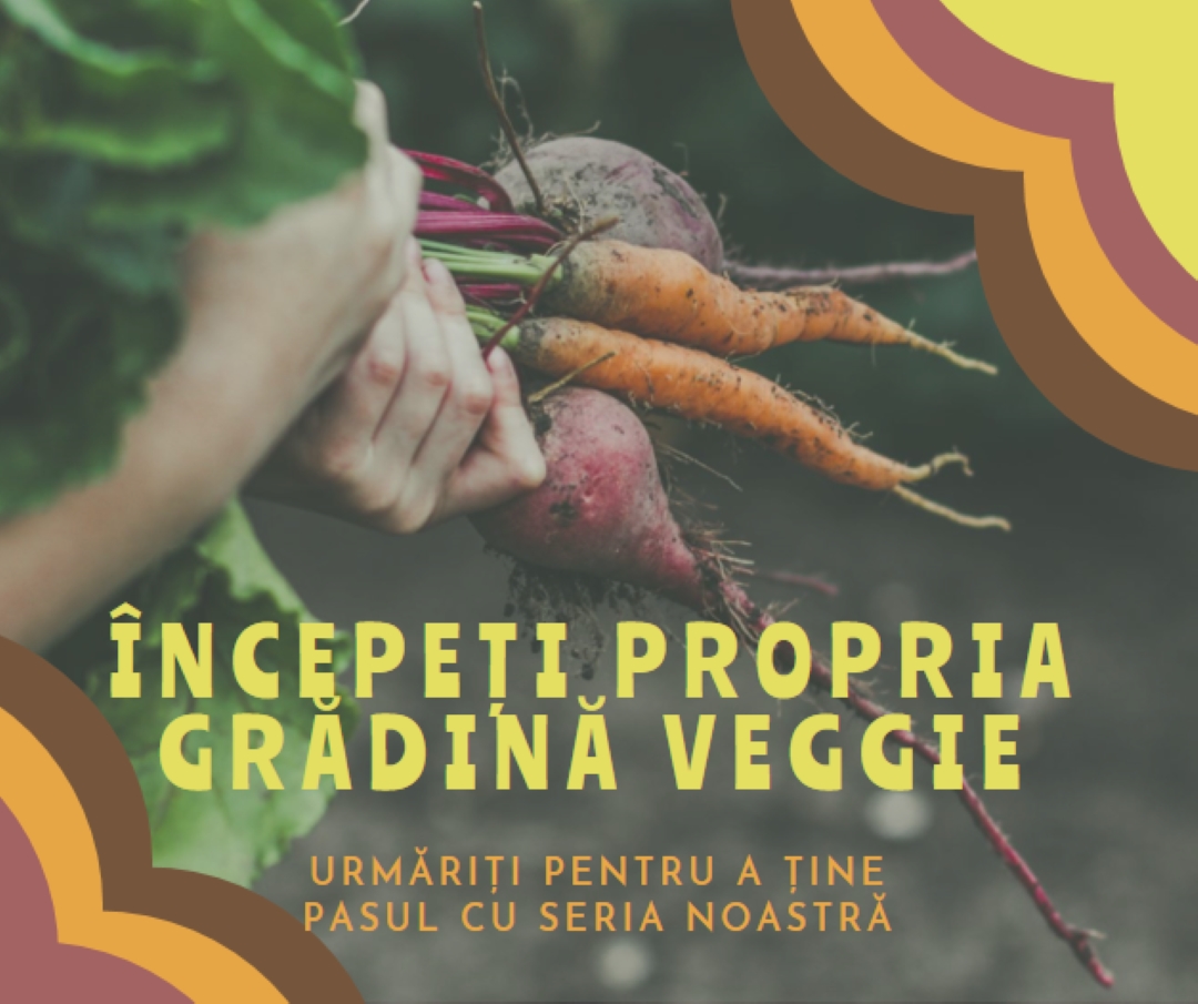 Viață dezrădăcinată orange vintage-retro