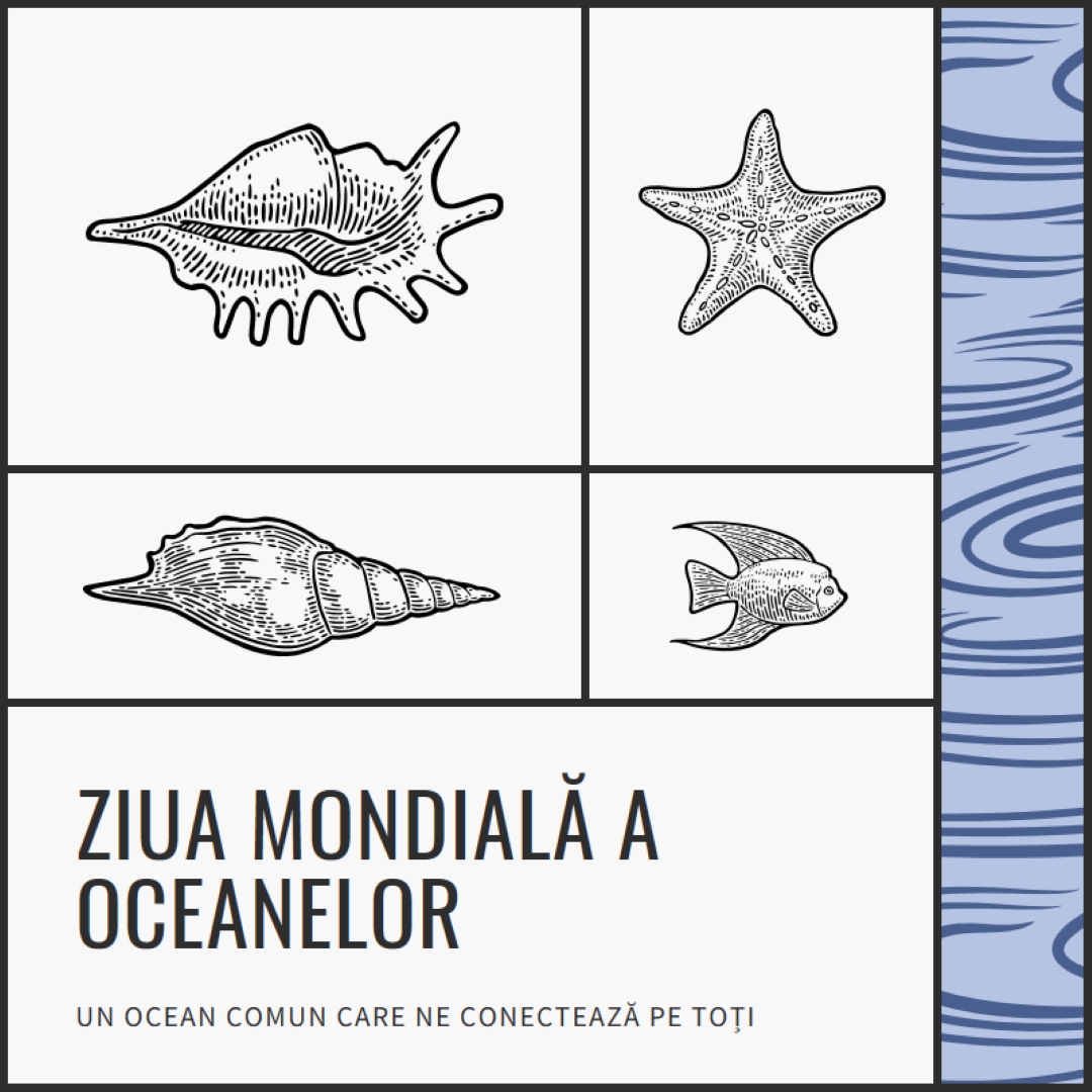 La mulți ani de Ziua Mondială a Oceanelor white vintage-retro